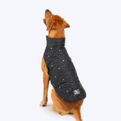Effective Organic Flea Repellent Solutions